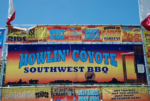 2010_ribfest_001.jpg